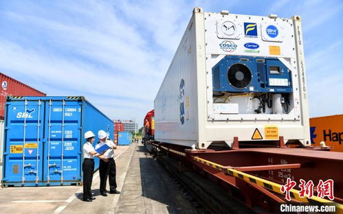 江西首列冷鏈進口榴蓮海鐵聯運班列順利開行