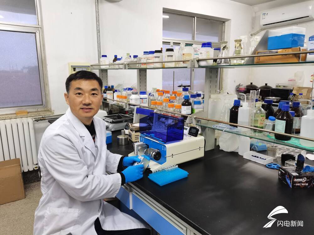 一種保健桑葉茶的制備方法 創(chuàng)新成果驅(qū)動健康農(nóng)業(yè)發(fā)展